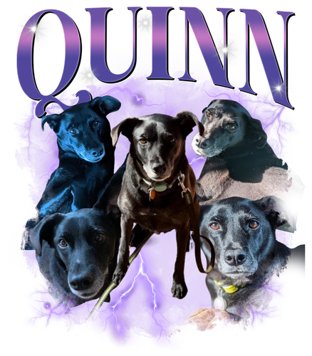 Quinn.png