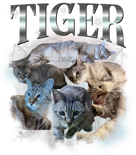 Tiger.png