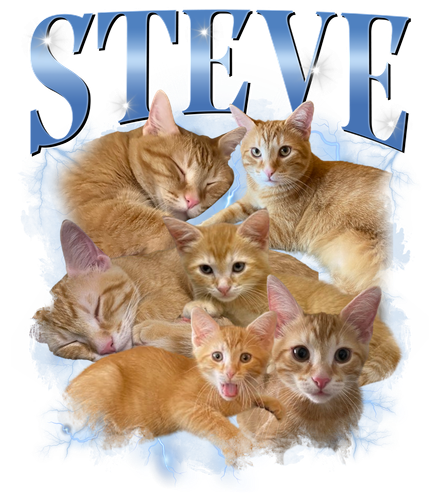 Steve.png