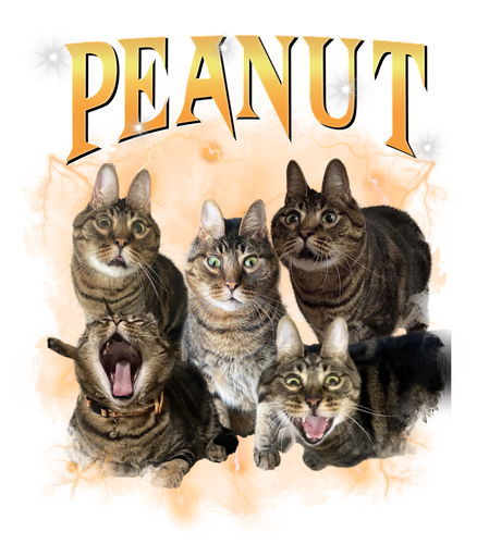peanut.png