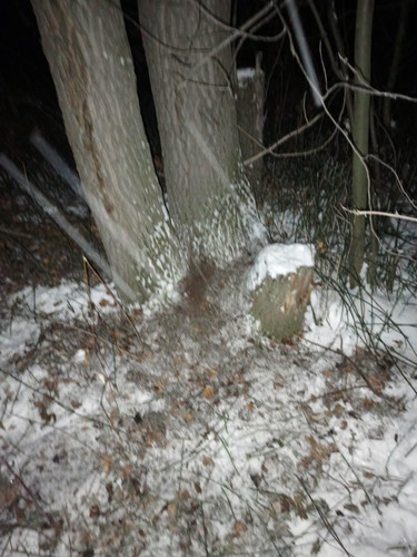 IMG 20231205 182838 502.jpg