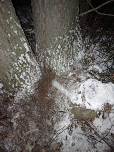 IMG 20231205 182911 917.jpg