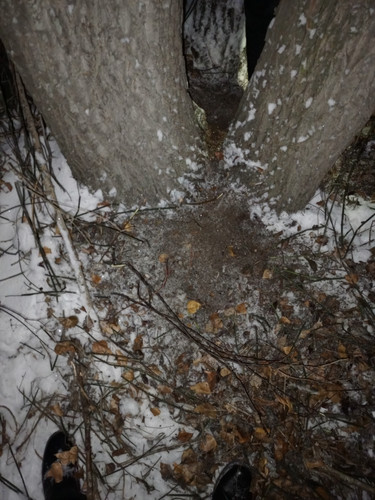 IMG 20231205 182736 450.jpg