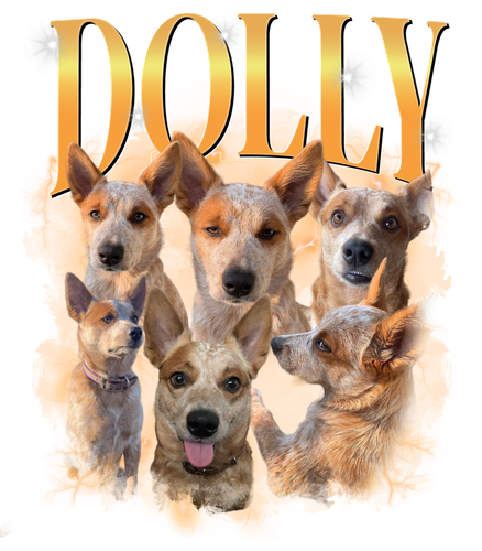3121475358 DOLLY.png
