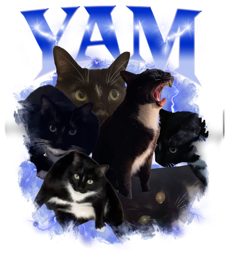 YAM 2.png