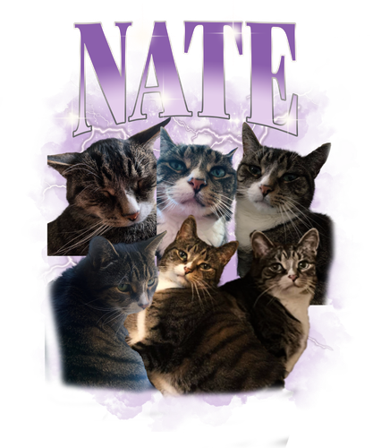 NATE 3109173029.png
