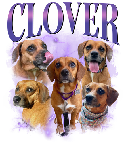 3119548114 Clover 6.png