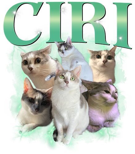 CIRI.png