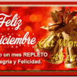 170200337271859106 (4).gif