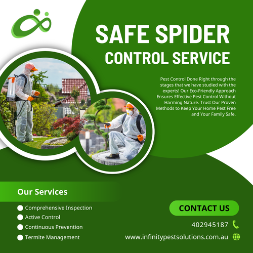 Effective Spider Control & Removal in Melbourne.png