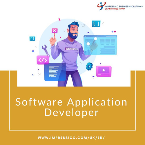 Software Application Developer.jpg