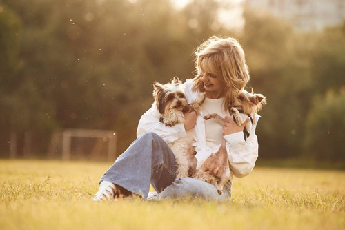 From Expert Pet Groomers 8 Grooming Routines for a Healthy Mind.jpg