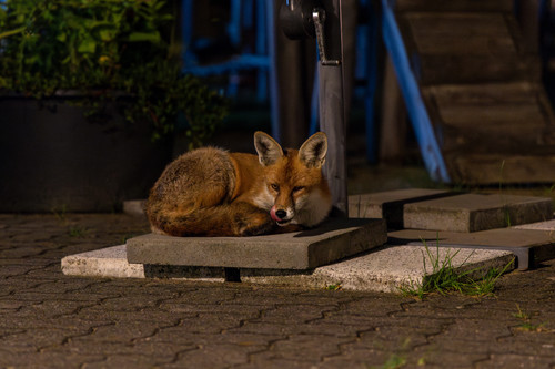  6II6130 Enhanced NR.jpg