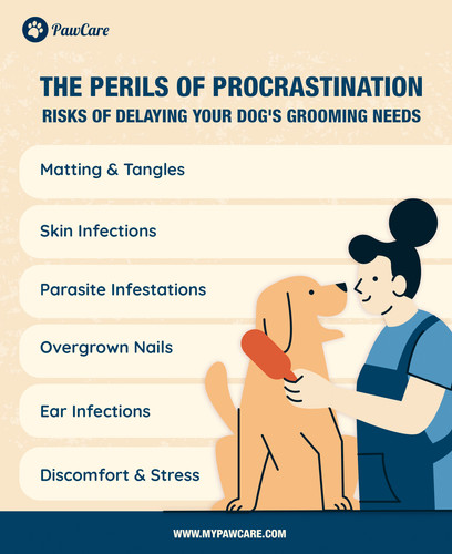 The Perils of Procrastination Risks of Delaying Your Dog's Grooming Needs.jpg