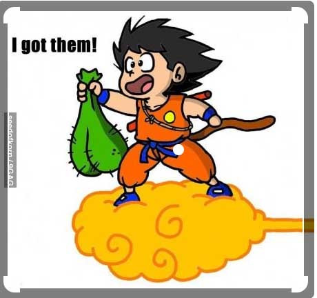 Dragon balls.jpg