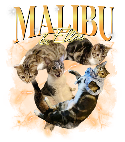 3123434690.png