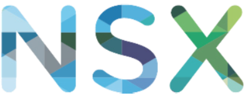NSXManager Logo.png