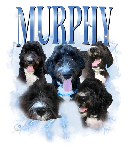 murphy.png