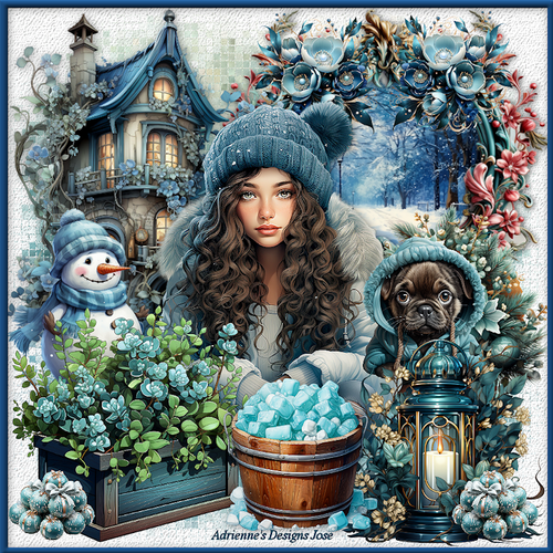 1 fond blanc welkom winter.png