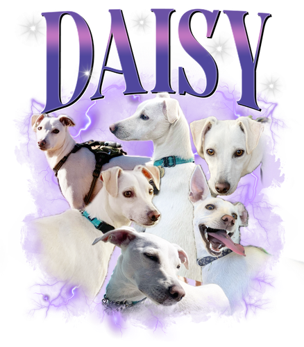 3113511183.png