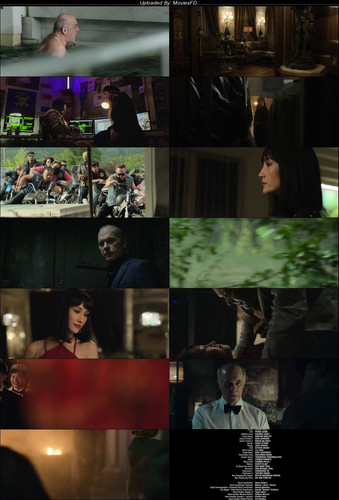 [ScreenShot] The.Protege.2021.BluRay.480p.[Hindi.English].ESub.jpg