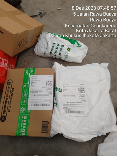 ff0214ca 0af7 4c53 9d61 532dccec7c2b.jpg