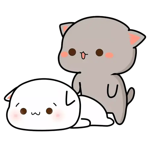 image.webp