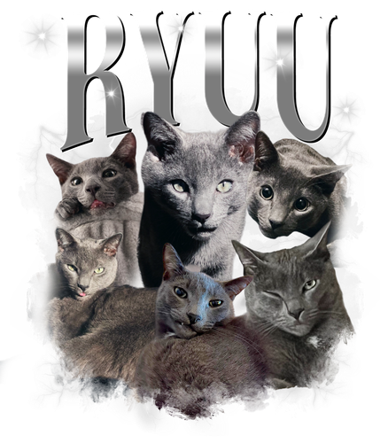 3112385519 Ryuu 8.png