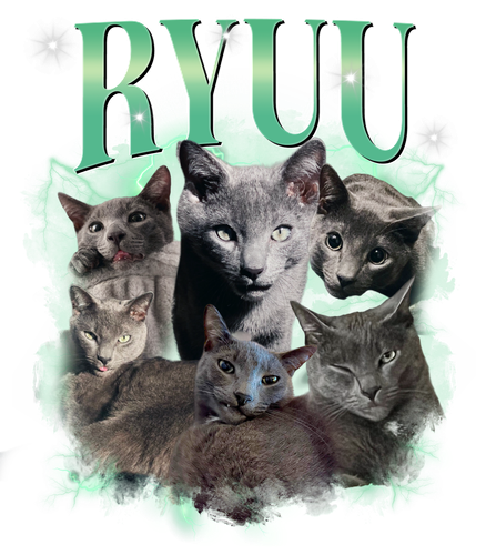 3112385519 Ryuu 7.png
