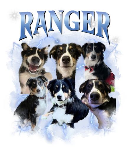 ranger sua.png