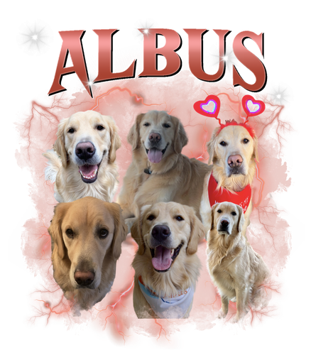 albus