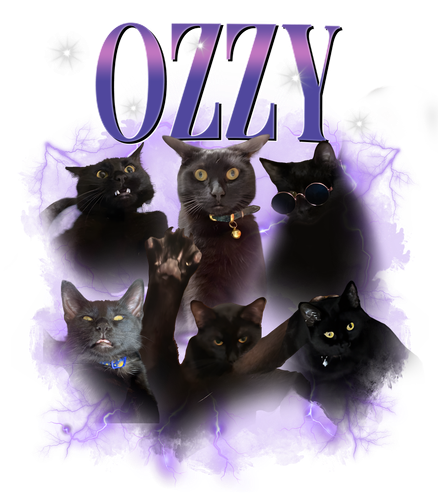 ozzy.png