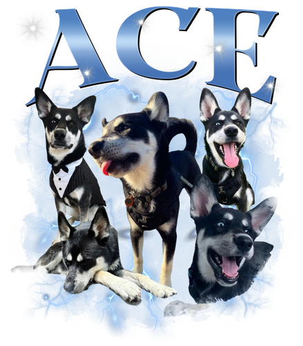 Ace.png