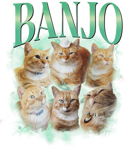 3109696833 Banjo 8.png