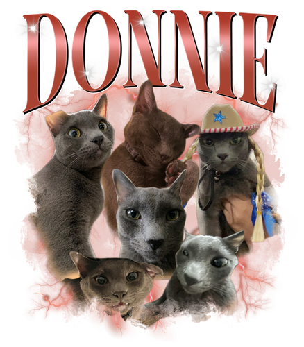 3107100624.png