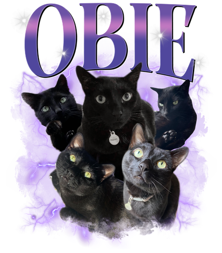 3098202895.png