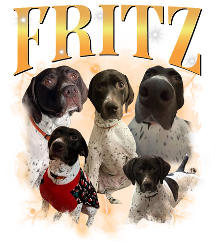 Fritz.png
