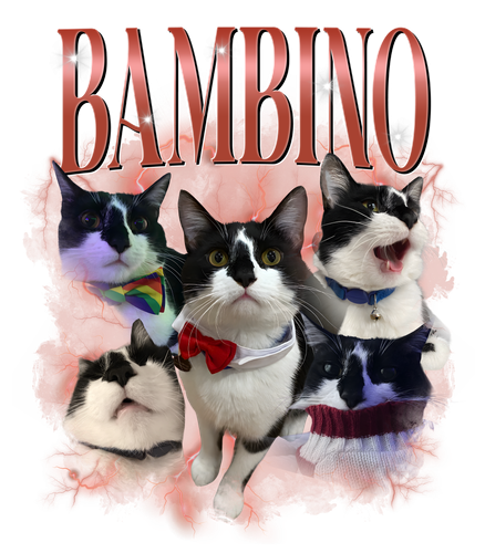 bambino.png