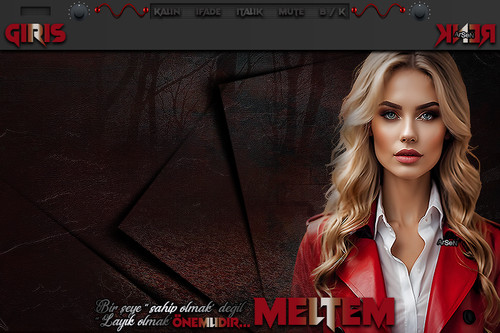 ArSeN SAHİP OLMAK BAYAN TEMA MELTEM.jpg