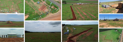 Piacatu I.png