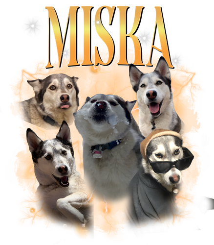 miska.png