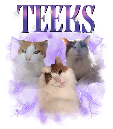 teeks.png