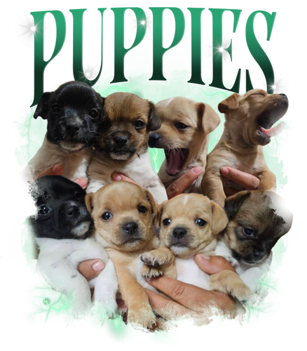 puppies.png