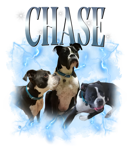 chase.png
