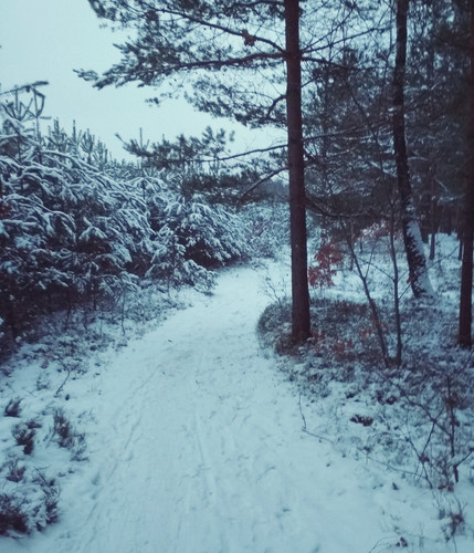 IMG 20231208 192933.jpg