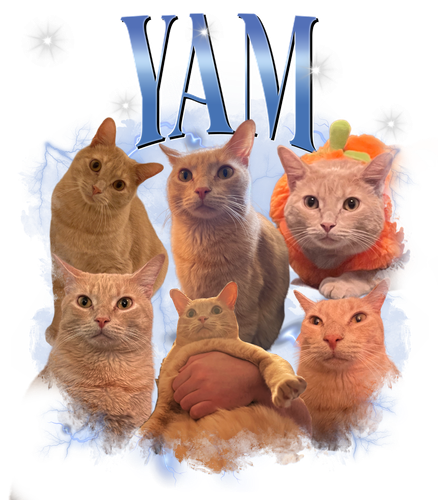 Yam #8 blue + 1.png