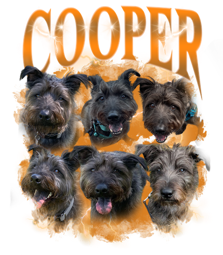 Cooper 2 orange 2.png