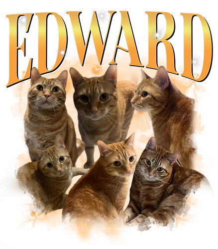 Edward + 3 yellow orange + 1.png
