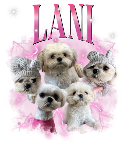 Lani 1 pink + 1.png