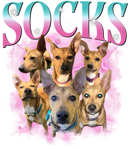 SOCKS.png